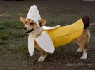 1751064073101.png