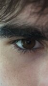 IMG_2123.jpeg