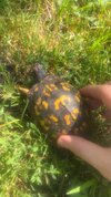 IMG_1792.jpeg