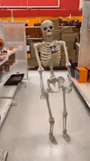IMG_1827.gif