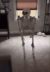 IMG_1828.gif