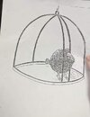 IMG_1674.jpeg