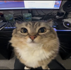 1752028452003.png