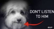 1000038268.png