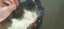 IMG_20250711_105048.jpg