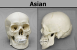 1752351104030.png 1752351104030.png