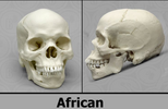 1752351115689.png 1752351115689.png