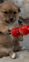 1000030597.gif