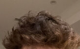 IMG_4347.jpeg