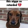 n***a.jpg