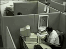 IMG_4315.gif