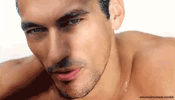 1000039613.gif