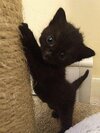IMG_3066.jpeg