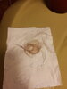 IMG_20200806_103443480.jpg