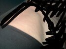 IMG_2152.jpeg