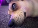IMG_2060.jpeg
