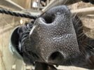 IMG_3961.jpeg