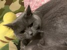 60072713593__6419E257-7423-407A-A73E-9B867DF7D9FF.jpeg