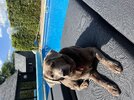 IMG_8326.jpeg