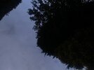 IMG_2141.jpeg