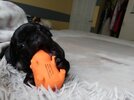IMG_20250728_065108.jpg