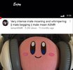 IMG_1517.jpeg