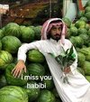 IMG_1350.jpeg