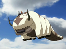 1000040242.png