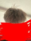 IMG_2259.jpeg