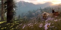 Red-Dead-Redemption-2-Environments.jpg