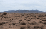 1000011941.gif