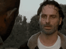 IMG_2240.gif
