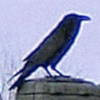 1754231307978.png