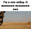 1000043434.gif