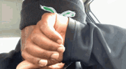 IMG_7548.gif