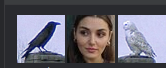 1754246070830.png