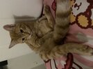 IMG_1478.jpeg