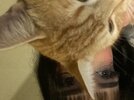 IMG_9175.jpeg