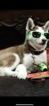 c5e5d10c-f227-4d9d-acf3-22b4be5d7b40.jpeg