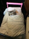 IMG_2426.jpeg