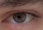 IMG_3647.jpeg