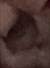 20250806_144017.jpg