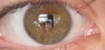IMG_3529.jpeg