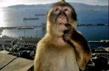 IMG_1140.jpeg