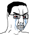 109696_-_SoyBooru.png