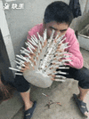 image.gif