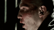 IMG_2317.gif