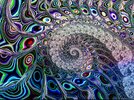 IMG_4504.jpeg
