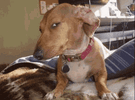 1754818950864.gif