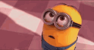 IMG_7309.gif
